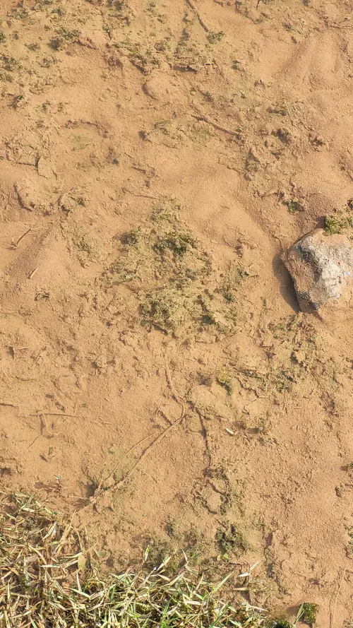 Ground70 texture