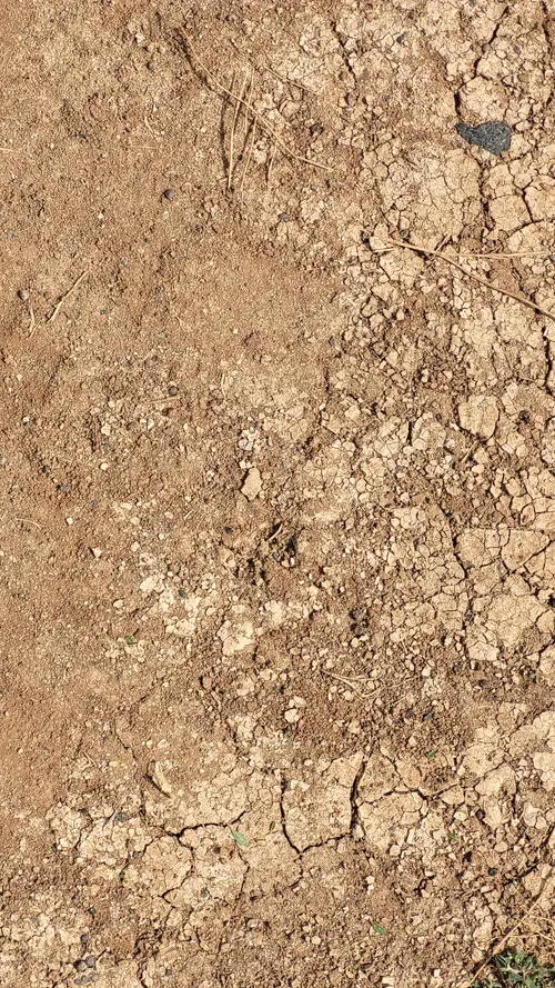 Ground73 texture