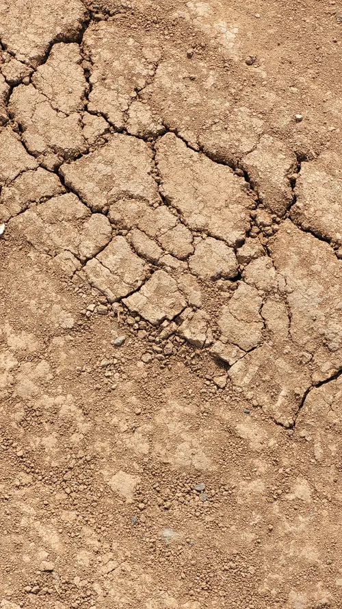 Ground74 texture