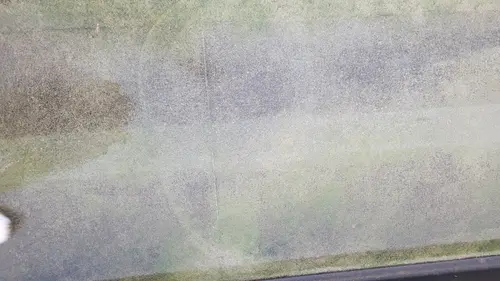 Ground78 texture