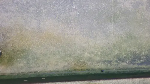 Ground80 texture