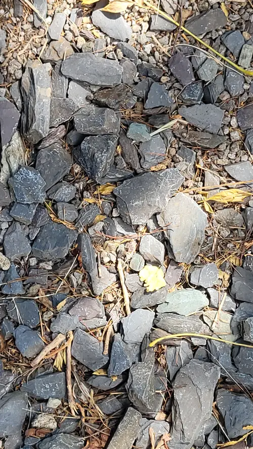 Ground87 texture