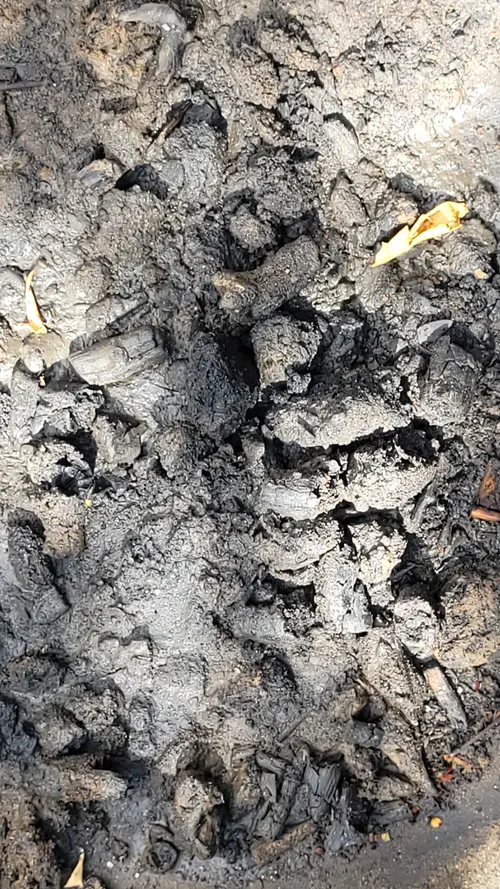Ground88 texture