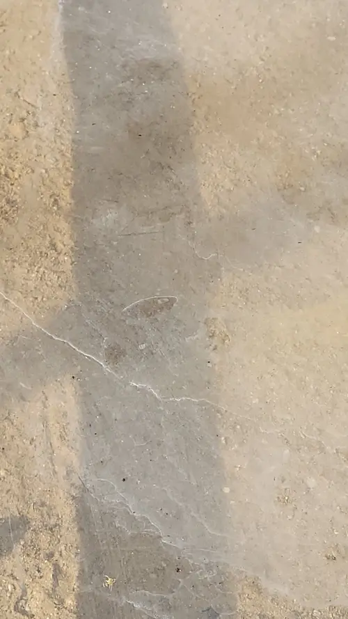 Ground90 texture