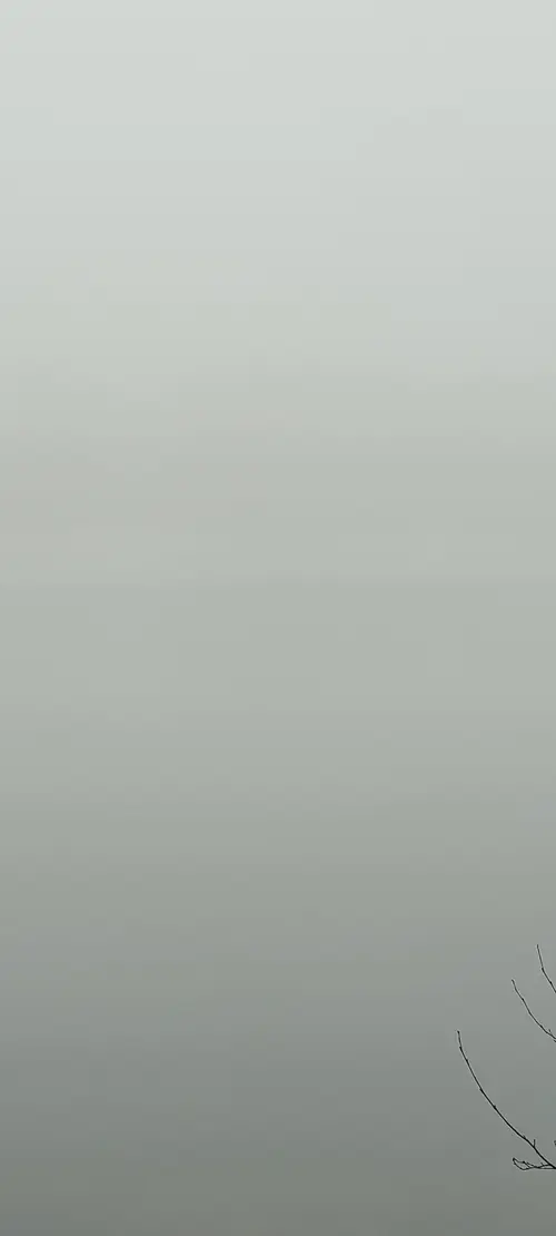 Organic102 texture
