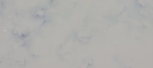 Organic104 texture