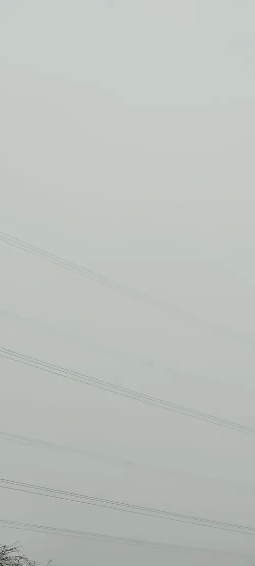 Organic105 texture