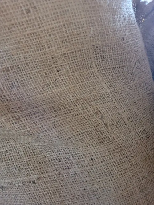 Other18 texture