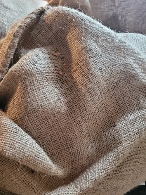 Other19 texture
