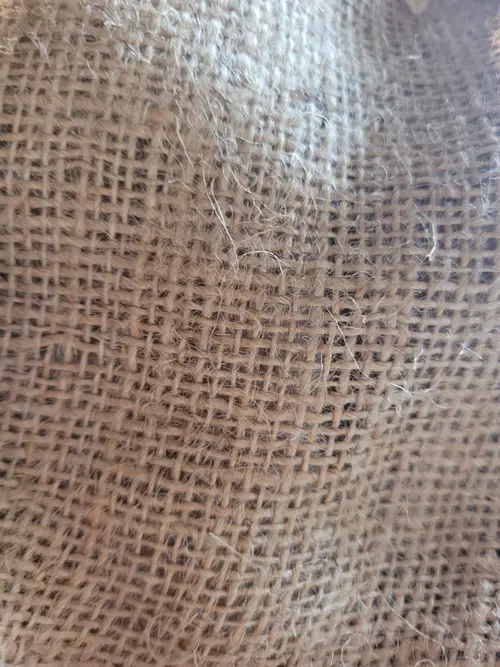 Other20 texture