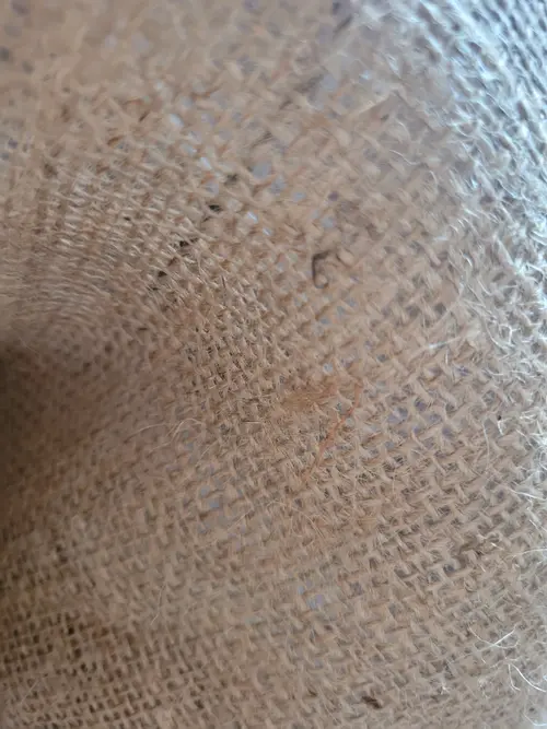 Other21 texture