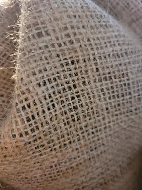 Other22 texture