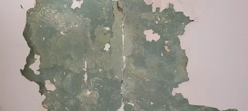 Paint1 texture