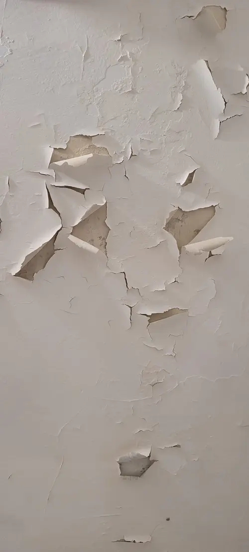 Paint6 texture