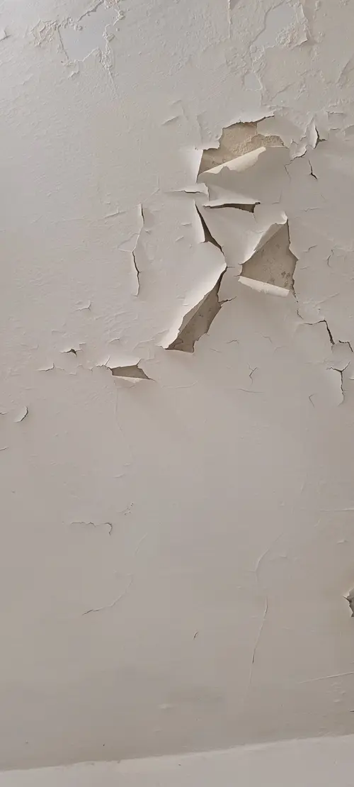 Paint7 texture