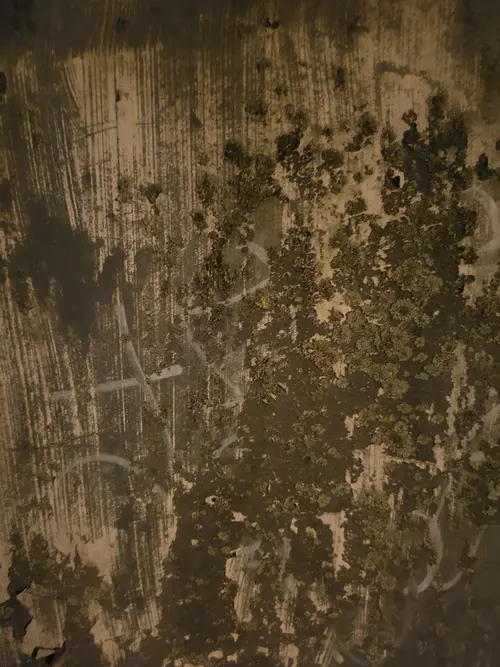Paint13 texture