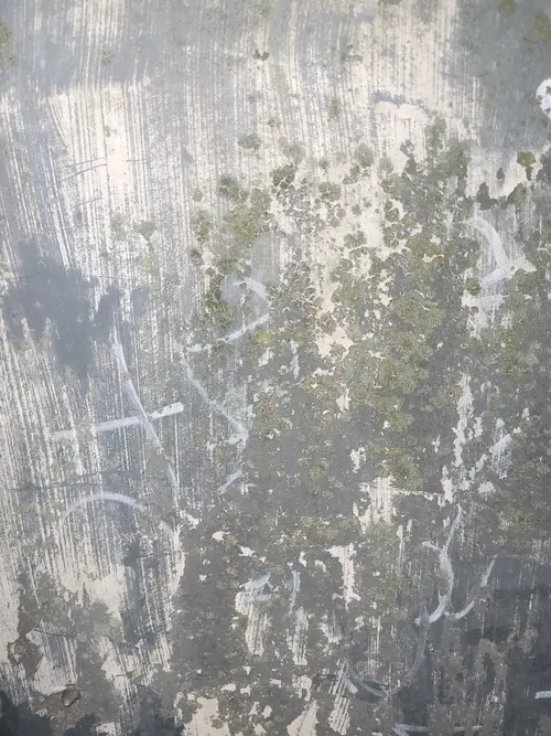 Paint14 texture
