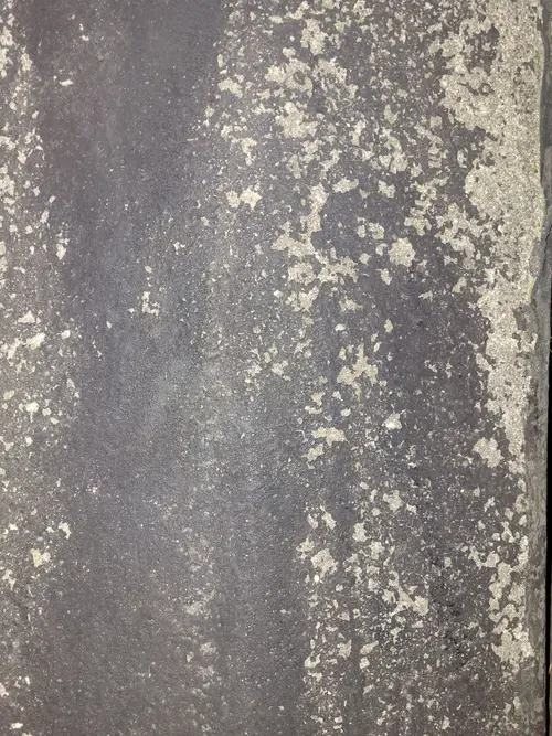 Paint16 texture