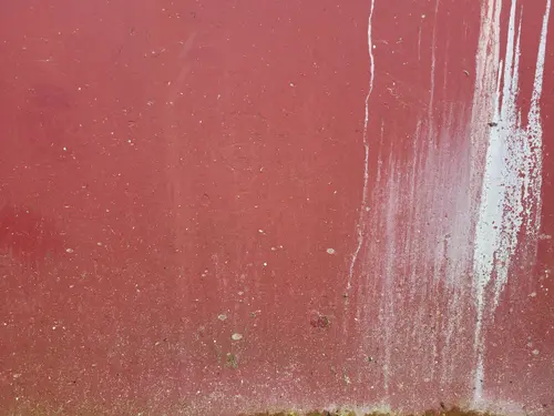 Paint19 texture
