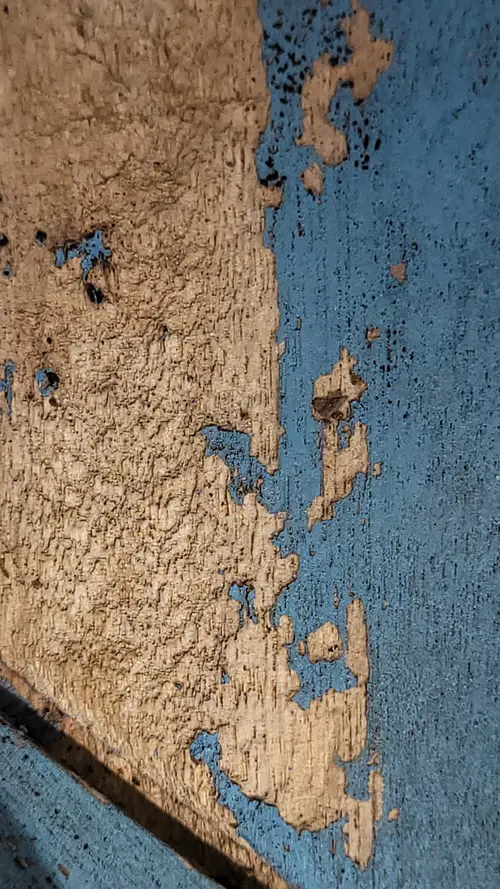 Paint66 texture