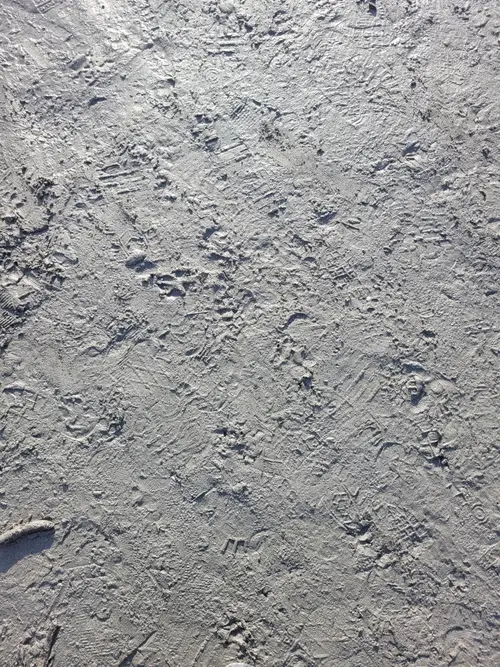 Paper8 texture