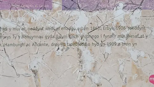 Paper9 texture