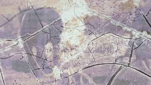 Paper11 texture