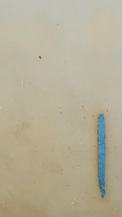 Plastic15 texture