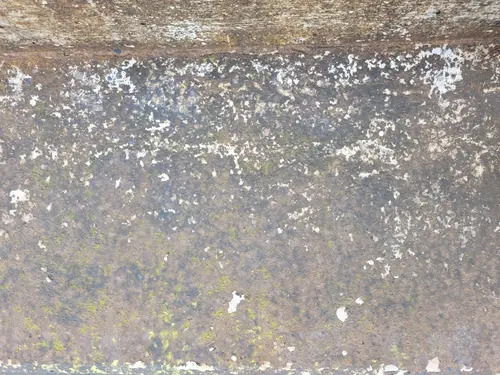 Stone7 texture
