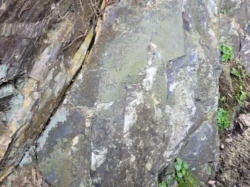 Stone8 texture