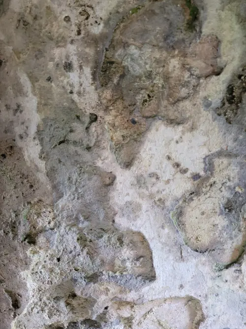 Stone13 texture