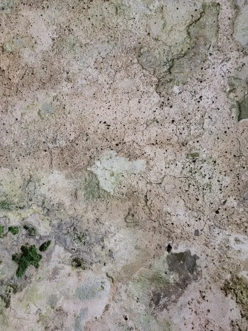 Stone15 texture