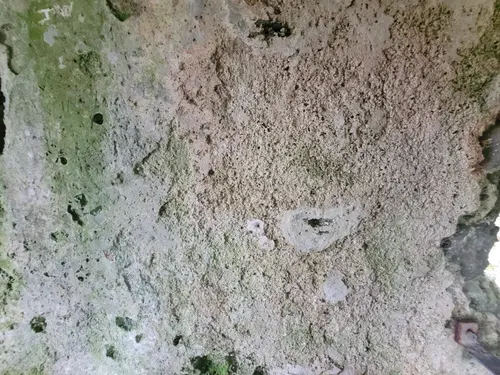 Stone17 texture