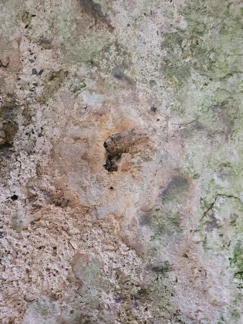 Stone18 texture