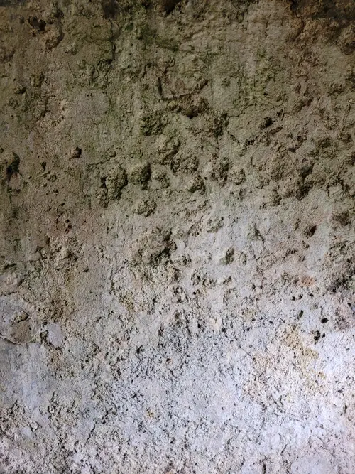 Stone19 texture