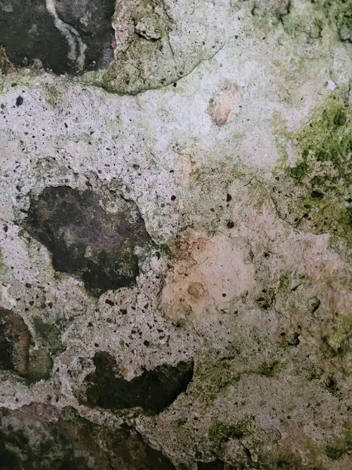 Stone22 texture