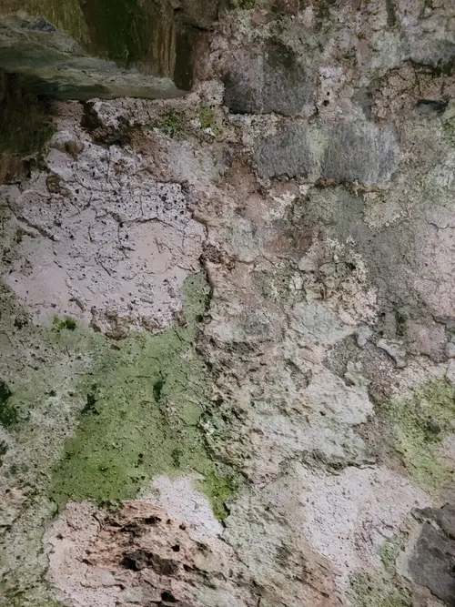 Stone23 texture
