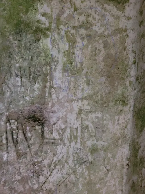 Stone37 texture