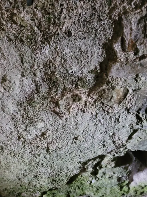 Stone38 texture