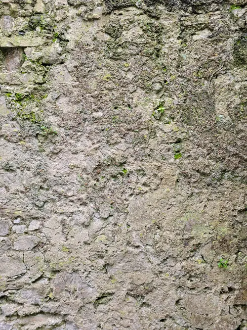 Stone41 texture