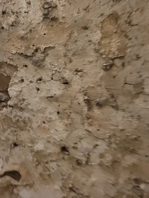 Stone45 texture