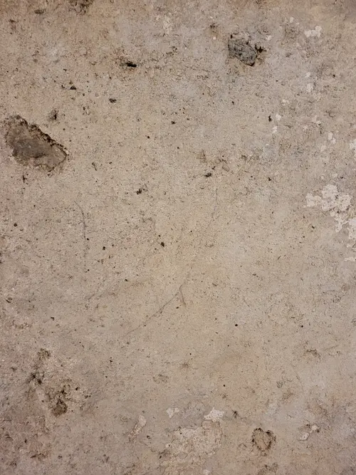 Stone46 texture