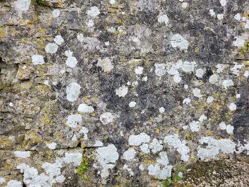 Stone48 texture