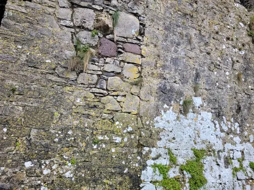 Stone49 texture