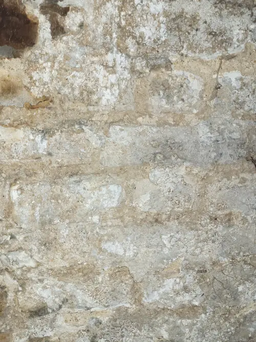 Stone56 texture
