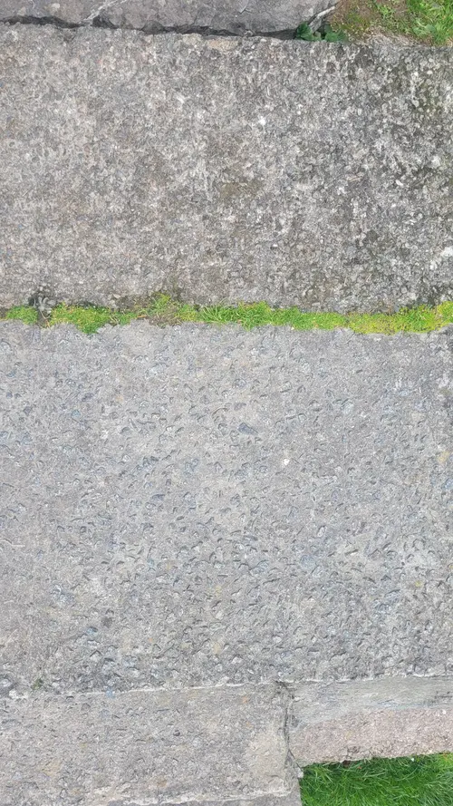 Stone74 texture