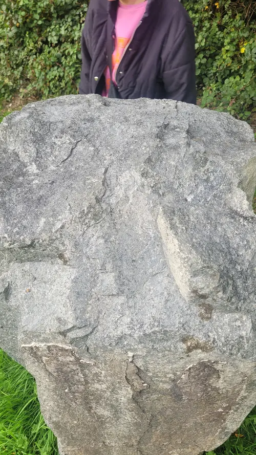 Stone79 texture