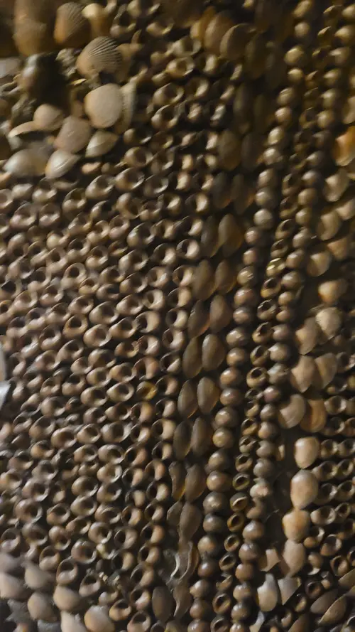 Stone101 texture