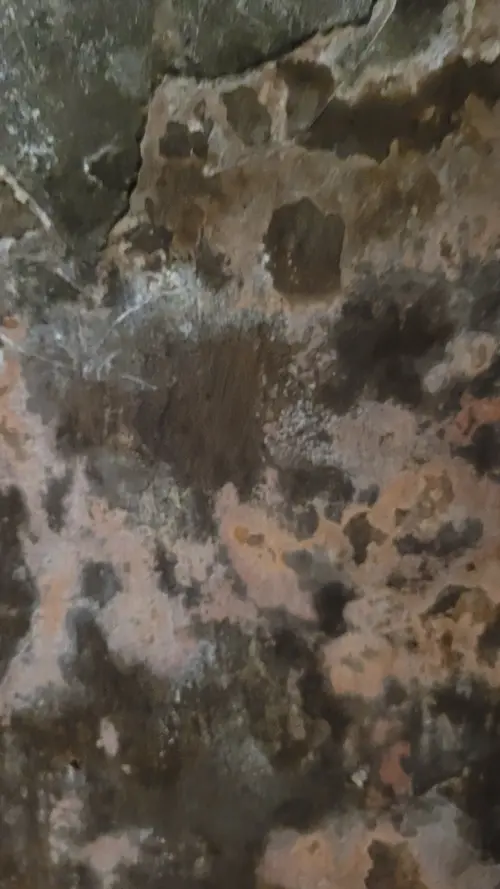 Stone111 texture