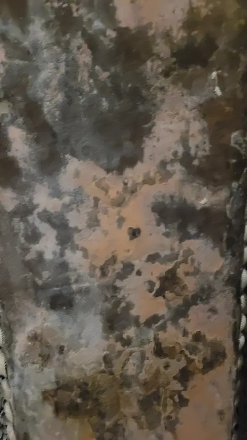 Stone113 texture